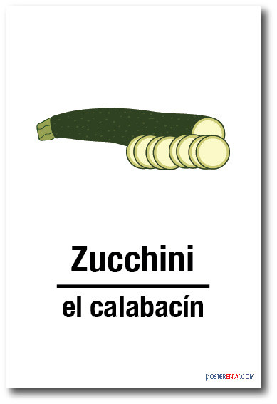 El Calabacin - Zucchini In Spanish - NEW Foreign Language Educational POSTER