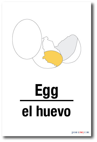 El Huevo - Egg In Spanish - NEW Foreign Language Educational POSTER