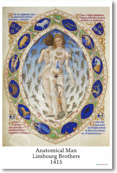 Anatomical Man - Limbourg Brothers - 1415 - NEW Fine Arts Poster
