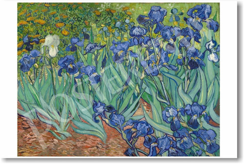 Irises 1889 - Vincent Van Gogh