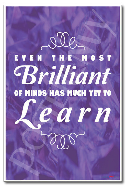 Purple - Even the Most Brilliant of Minds Has Much Yet To Learn - NEW Classroom Motivational PosterEnvy Poster