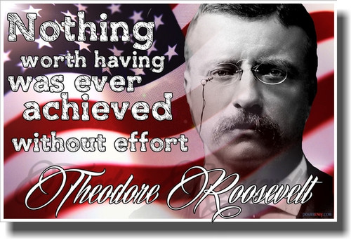 Nothing Worth Having - Theodore Roosevelt - Flag - NEW Motivational Poster