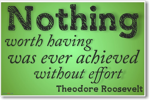 Nothing Worth Having - Theodore Roosevelt - Simple - NEW Motivational Poster