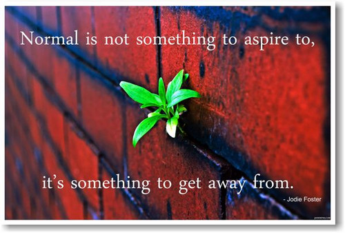 "Normal Is Not Something To Aspire To" Jodie Foster - NEW Classroom Motivational Inspirational POSTER