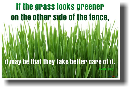 If the Grass Looks Greener on the Other Side of the Fence It May Be That They Take Better Care of It - Cecil Selig
