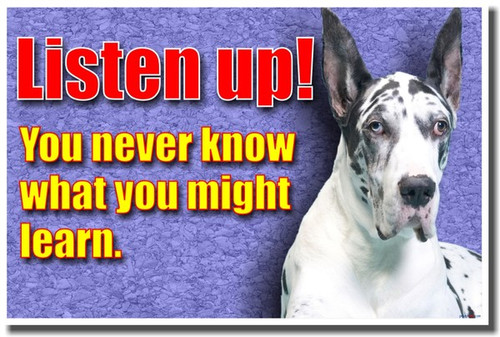 Listen Up! You Never Know What You Might Learn cm376