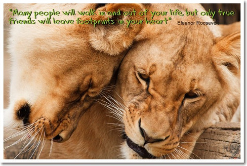 "Many people will walk in and out of your life, but only true friends will leave footprints in your heart" - Eleanor Roosevelt