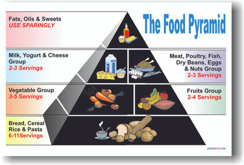 Food Pyramid