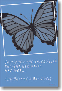 Just when the caterpillar thought her world was over she became a butterfly