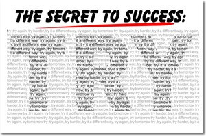 Secret to Success TRY - Motivational Classroom Poster