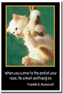 When you get to the end of your rope, tie a knot and hang on. Franklin D. Roosevelt - Classroom Motivational Poster (cm105)