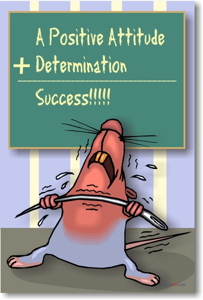 Positive Attitude + Determination = Success!!!! - Classroom Motivational Poster Print Gift