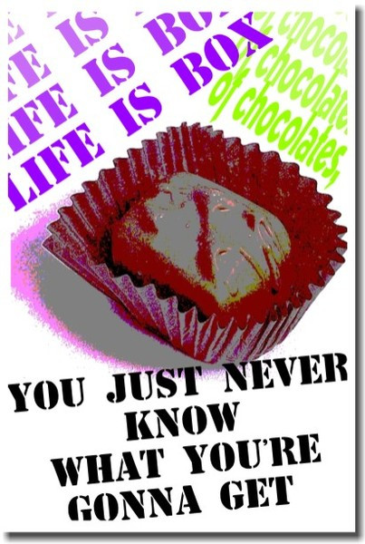Life is Like a Box of Chocolates - Classroom Motivational Poster Print Gift