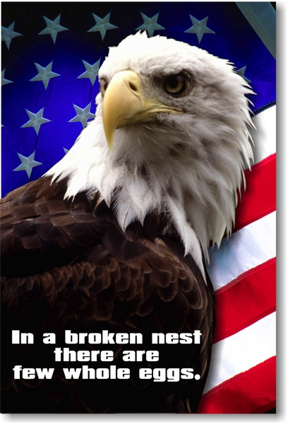 In a Broken Nest There Are Few Whole Eggs - Classroom Motivational Poster Print Gift