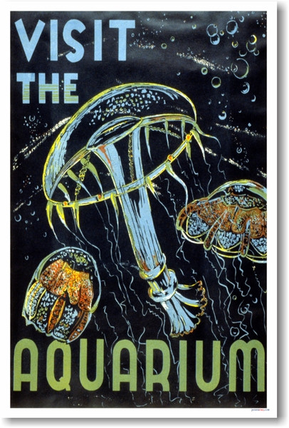 Visit the Aquarium