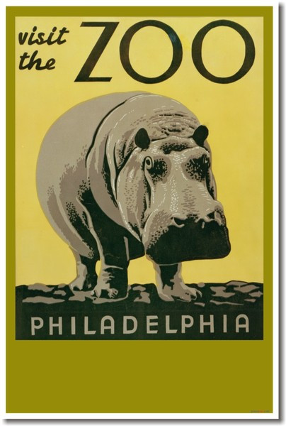 Visit the Zoo - Philadelphia - Hippo