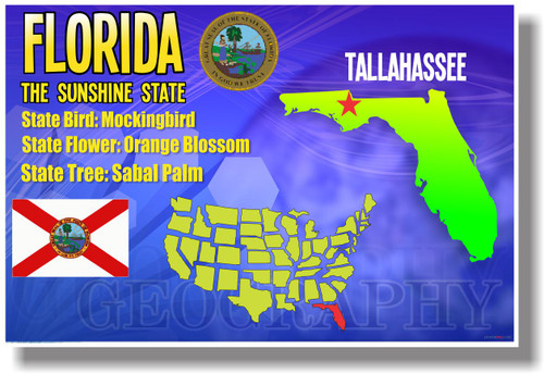 Florida Geography - NEW U.S Travel Poster (tr563)