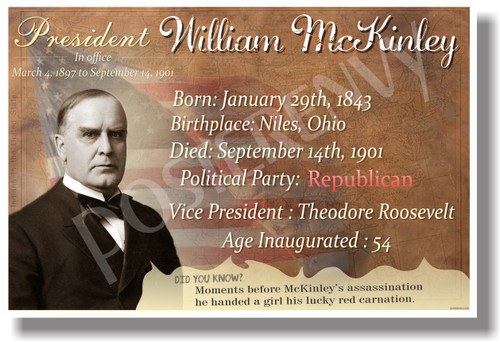 Presidential Series - U.S. President William McKinley - New Social Studies Poster (fp396) American History PosterEnvy