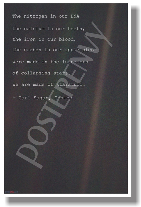 The Nitrogen In Our DNA... - Carl Sagan, Cosmos - NEW Science Classroom Physics Poster (ms304)