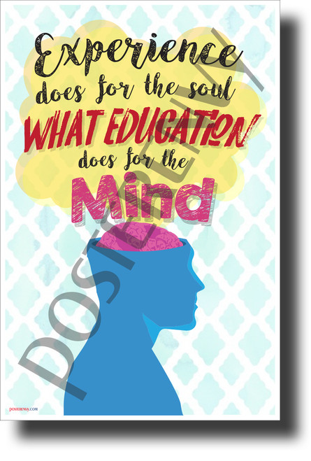 Experience Does for the Soul what Education Does for the Mind- NEW Classroom Motivational Poster (cm1230) PosterEnvy Poster