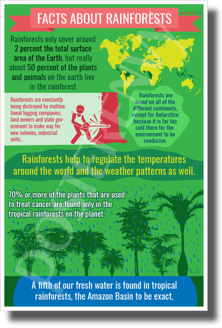Rainforest Facts - New Environmental Awareness POSTER 