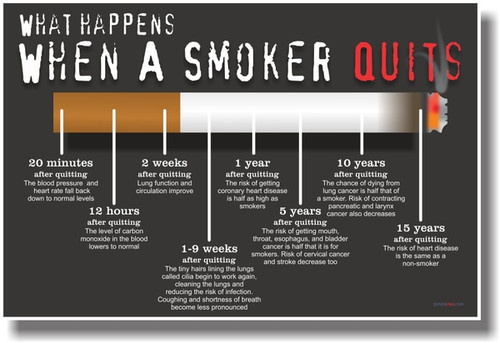 What Happens When A Smoker Quits - NEW Health Poster Business Cards (100 Count)