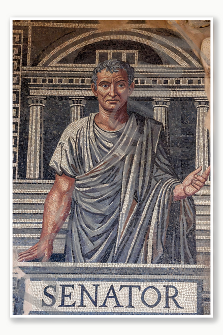 Senator Poster - 18 inch x 12 inch