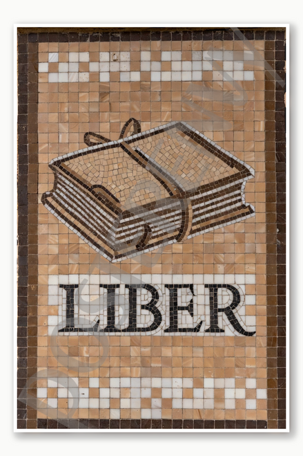 book Poster - 18 inch x 12 inch