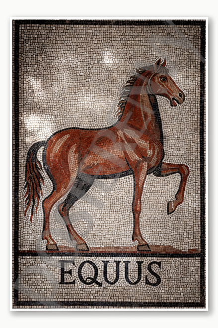 Horse Poster - 18 inch x 12 inch