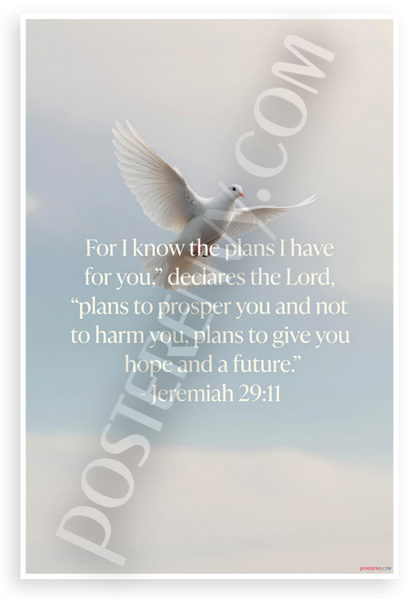 Jeremiah 29:11 'For I Know the Plans I Have for You' Dove Inspirational 12x18 US Made Poster
