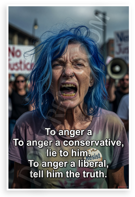 "To Anger a Conservative Lie to Him To Anger a Liberal Tell Him the Truth" Satirical Political 12x18 US Made Poster