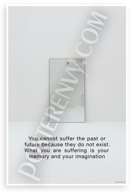 "You Cannot Suffer Past or Future" Memory Imagination Quote Minimalist 12x18 US Made Poster