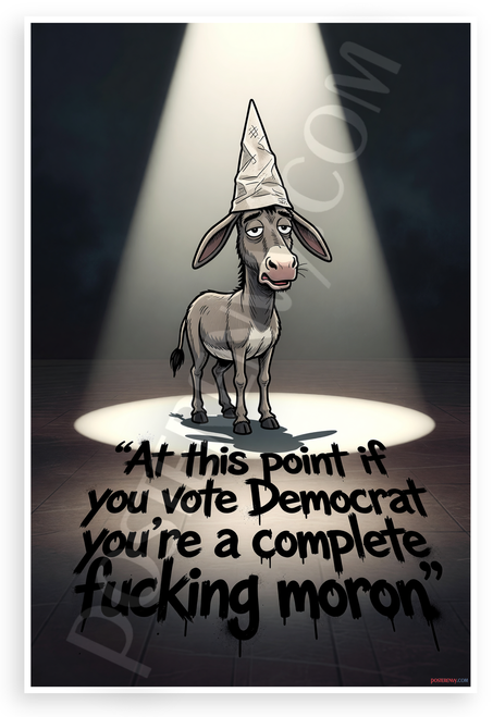 "At This Point If You Vote Democrat You're a Complete Fucking Moron" Donkey Dunce Cap Satirical 12x18 US Made Poster