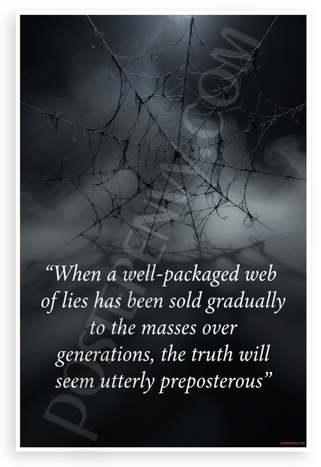 "Well-Packaged Web of Lies" Truth Quote Dark Web 12x18 US Made Poster