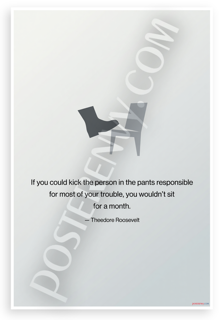 Theodore Roosevelt "Kick the Person in Pants" Quote Motivational 12x18 US Made Poster