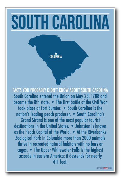 South Carolina - NEW U.S Travel Poster