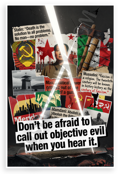 Don't Be Afraid to Call Out Objective Evil Quote Anti-Authoritarian 12x18 US Made Poster