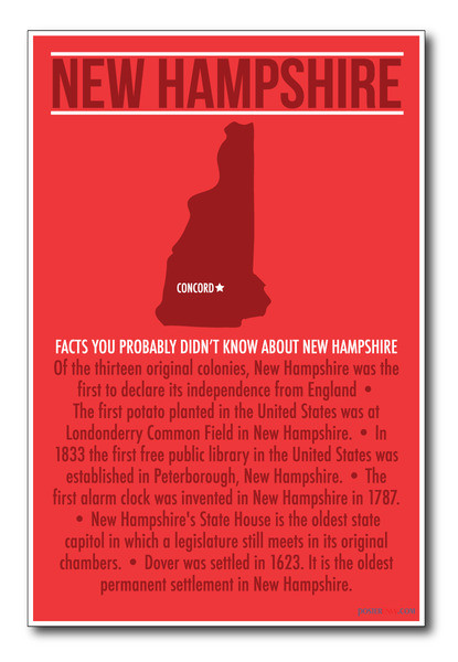 New Hampshire - NEW U.S Travel Poster