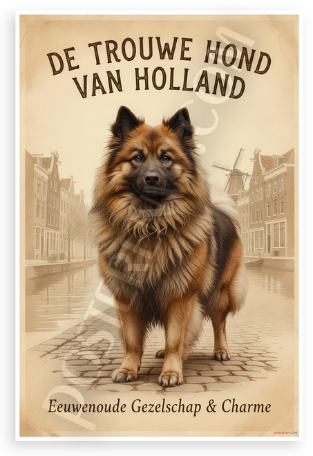 Keeshond Dog of Holland Vintage Dutch Canal Scene 12x18 US Made Poster