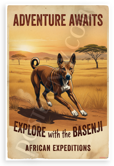 Henry Morton Stanley 'Basenji Barkless Wonder' Vintage Adventure 12x18 US Made Poster