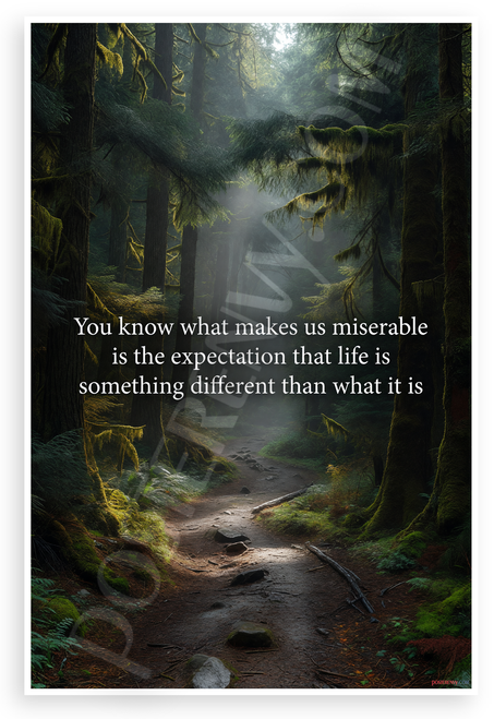 "You Know What Makes Us Miserable" Expectation Life Quote Forest Path 12x18 US Made Poster