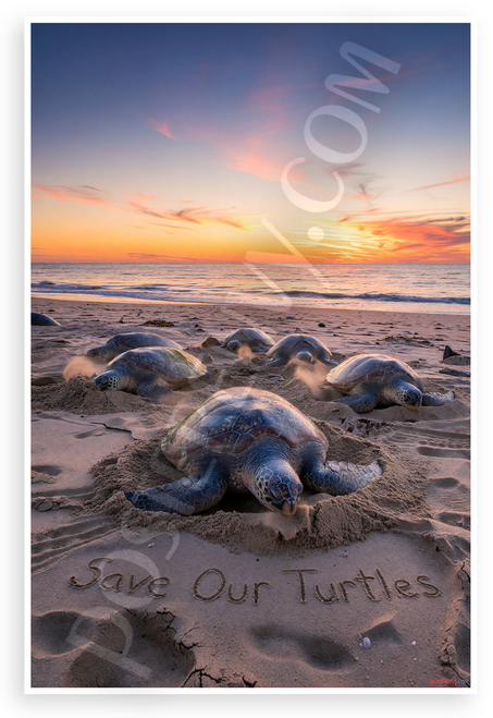 Save Our Turtles Sea Turtles Nesting Beach Dawn Environmental 12x18 US Made Poster