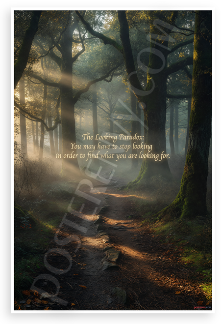 The Looking Paradox "You may have to stop looking" Inspirational 12x18 US Made Poster