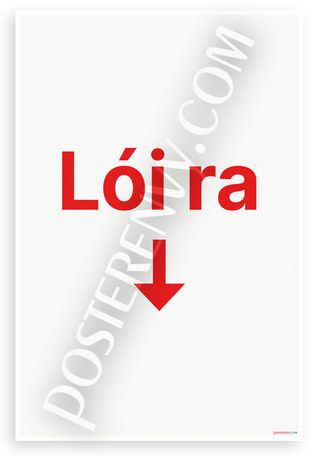 Lối Ra Exit Arrow Minimalist Safety Sign 12x18 US Made Poster