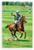 Nacho Figueras Polo Action Horseback Watercolor 12x18 US Made Poster