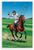 Nacho Figueras Polo Player Horseback Action Sports 12x18 US Made Poster