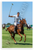 Nacho Figueras Polo Player Action Horseback 12x18 US Made Poster