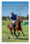 Adolfo Cambiaso 'Good Players Ride the Game, Great Players Ride the Moment' Polo Motivational 12x18 US Made Poster
