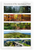 Ecosystems of the Appalachian Trail Educational 12x18 US Made Poster