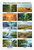 Major Ecosystems of the United States Educational 12x18 US Made Poster